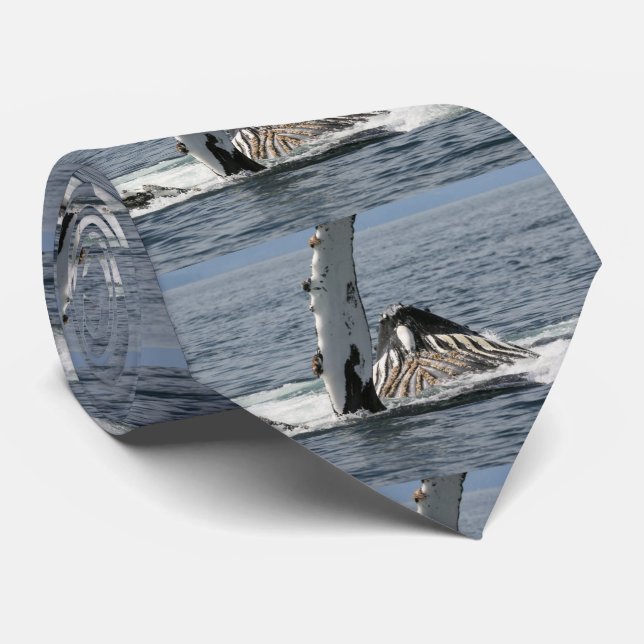 Humpback Whale Tie (Rolled)