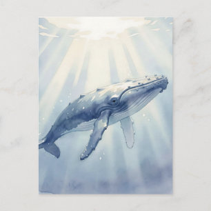 Humpback Whale Watercolor Ocean Postcard