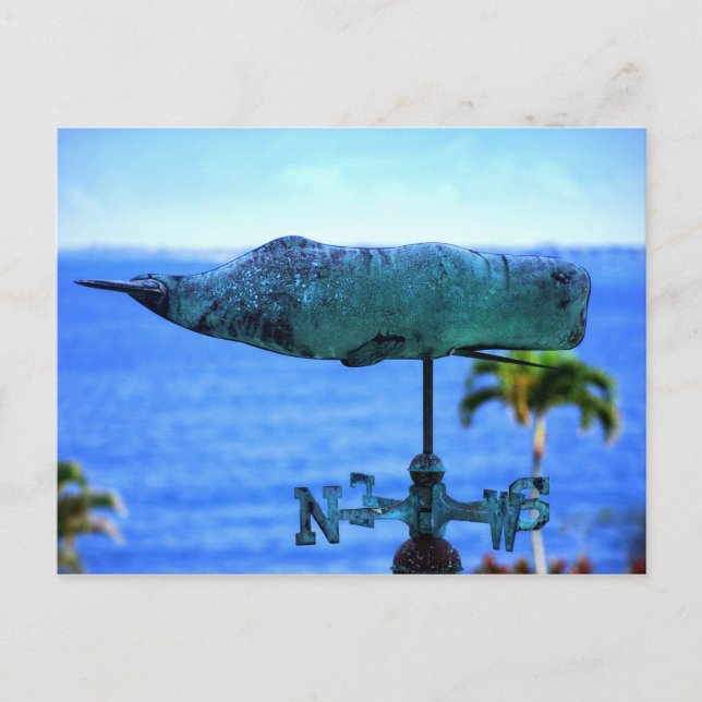 Humpback Whale Weather Vane Postcard (Front)