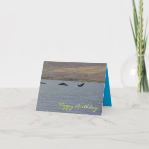 Humpback Whales Birthday Card