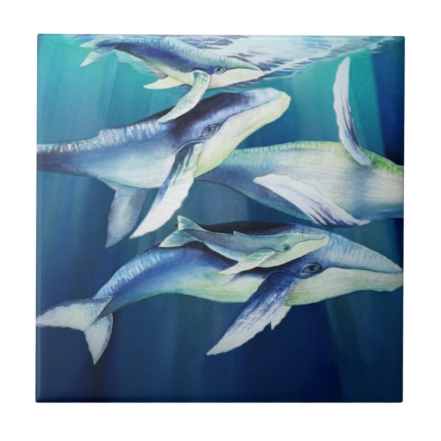 Humpback Whales Ceramic Tile (Front)