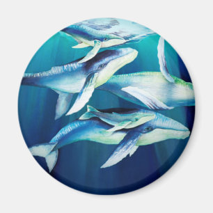 Humpback Whales Magnet