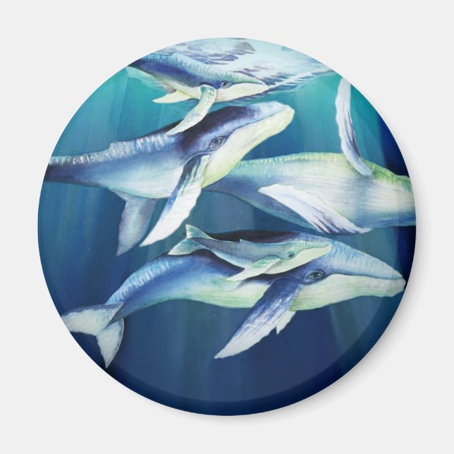 Humpback Whales Magnet (Front)
