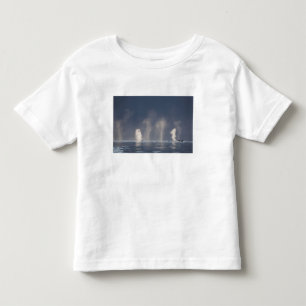 Humpback Whales Megaptera novaeangliae) Toddler T-Shirt