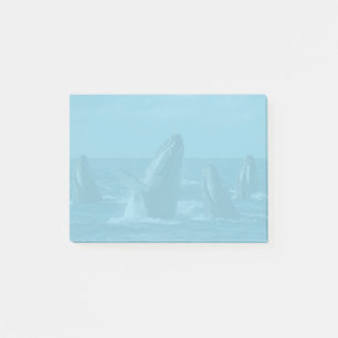 Humpback Whales Post-it Notes