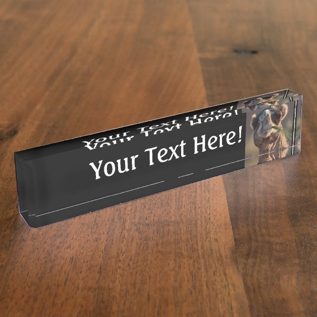 HumpDay Camel Feasting on Green Grass Personalised Nameplate (Side)