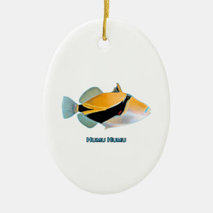 Humu Humu Fish Ceramic Tree Decoration