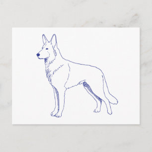 Hunderasse Schäferhund Postcard