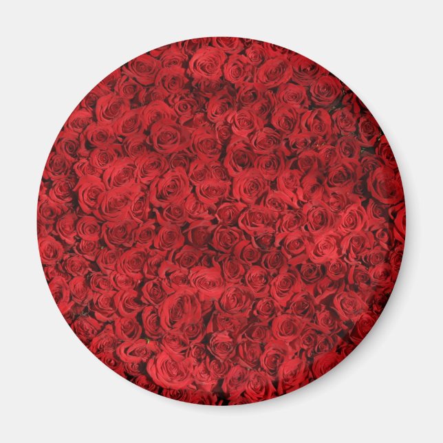 Hundreds of Beautiful Red Roses Magnet (Front)