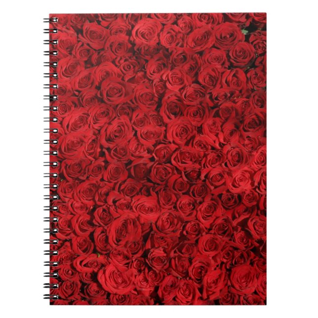 Hundreds of Beautiful Red Roses Notebook (Front)