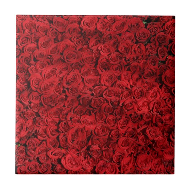 Hundreds of Beautiful Red Roses Tile (Front)