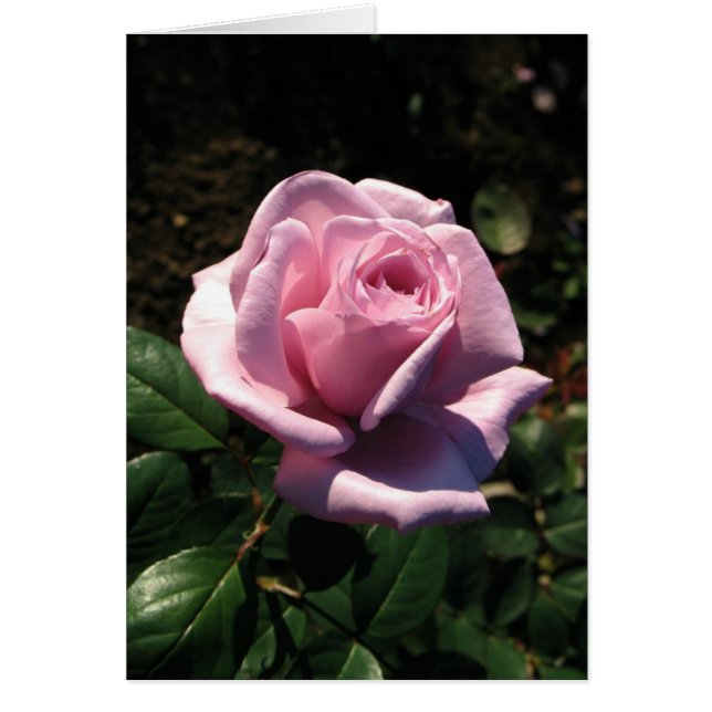 Hungarian-Boldog születésnapot (Front)