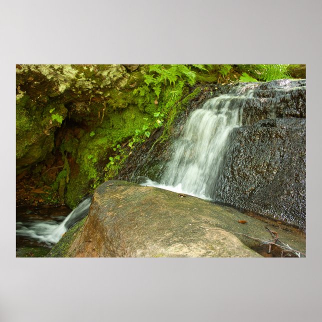 Hungarian Falls Mossy Forest Cascade Poster (Front)