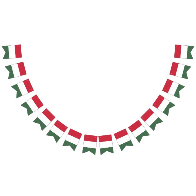 Hungarian flag banner (All)