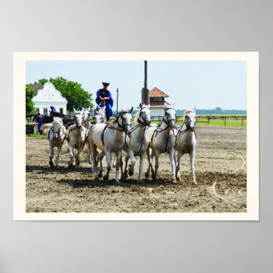 Hungarian horse riding poster