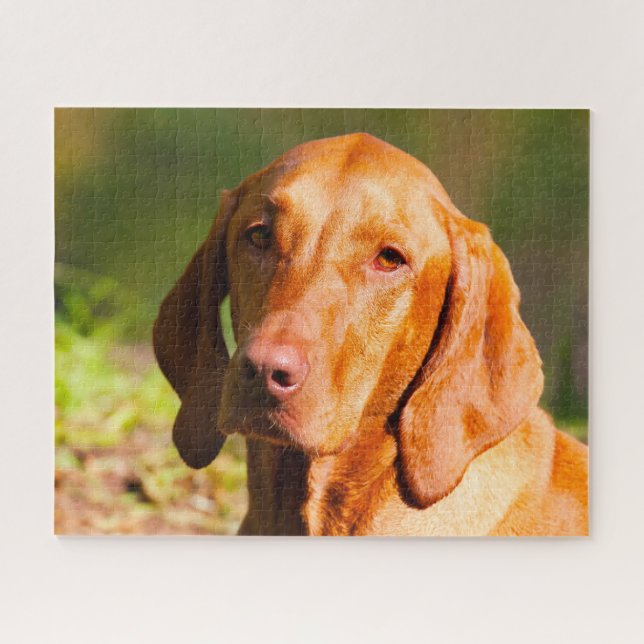 Hungarian Vizla Dog Jigsaws. Jigsaw Puzzle (Horizontal)