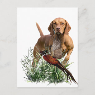 Hungarian Vizsla Art Postcard