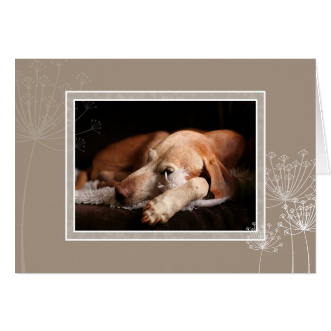 Hungarian Vizsla Blank Card 004 (Front Horizontal)