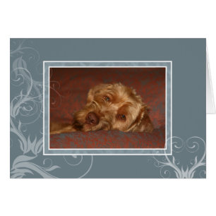 Hungarian Vizsla Blank Card 005