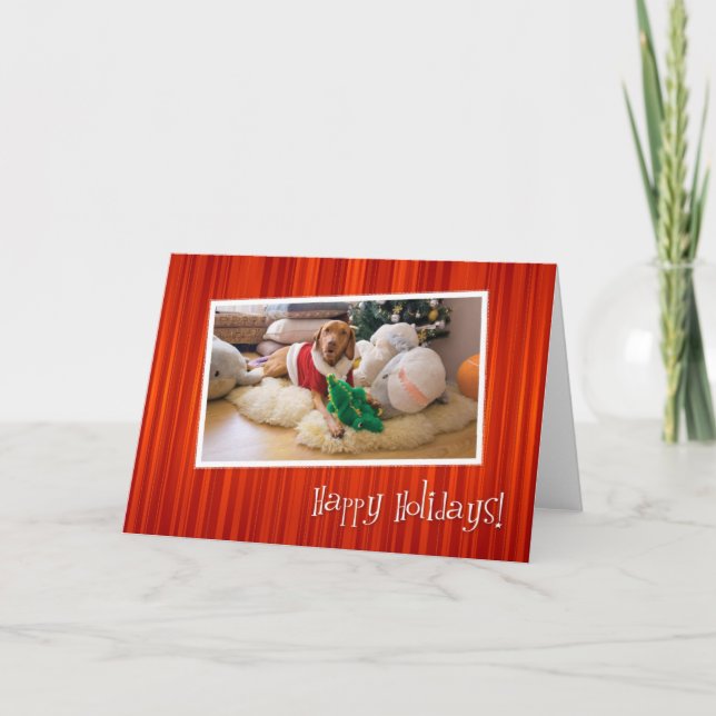 Hungarian Vizsla Christmas Card 010 (Front)