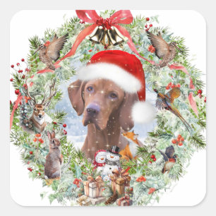 Hungarian Vizsla Christmas wreath Square Sticker