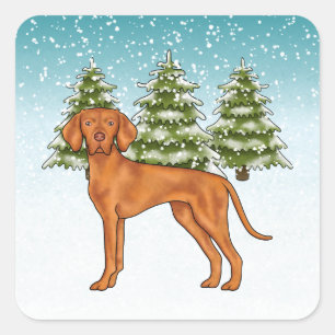 Hungarian Vizsla Dog Snowy Winter Forest Festive Square Sticker
