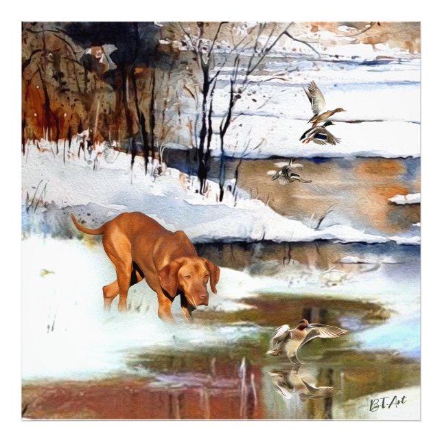 Hungarian Vizsla, hunting ducks in winter    Photo Print (Front)