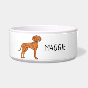 Hungarian Vizsla Pointer Dog Standing And Name