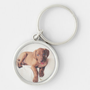 Hungarian Vizsla Puppy Key Ring