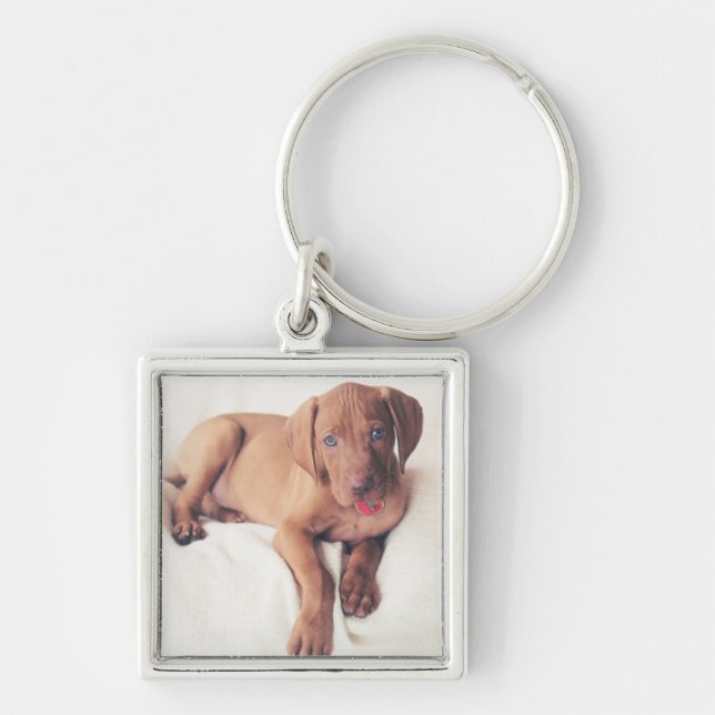 Hungarian Vizsla Puppy Key Ring (Front)