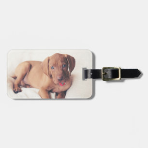 Hungarian Vizsla Puppy Luggage Tag
