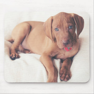 Hungarian Vizsla Puppy Mouse Pad