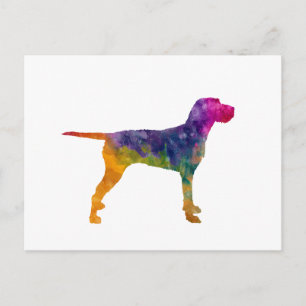 Hungarian Wirehaired Vizsla in watercolor Postcard