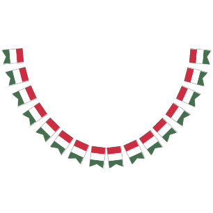 Hungary Flag