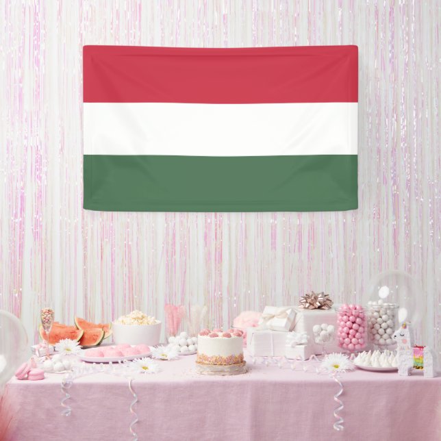 Hungary flag banner (Party)