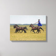 Hungary horseman and horses