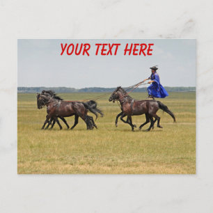 Hungary horseman and horses postcard