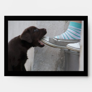 Hungry Brown Labrador Puppy Envelopes