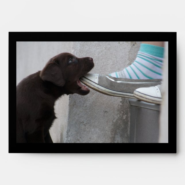 Hungry Brown Labrador Puppy Envelopes (Front)