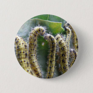Hungry Cabbage White Caterpillars Button