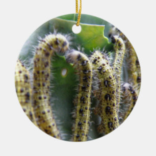 Hungry Cabbage White Caterpillars Custom Birthday Ceramic Ornament
