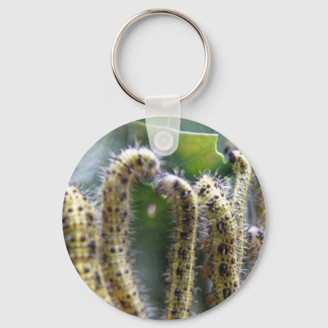 Hungry Cabbage White Caterpillars Keychain (Front)