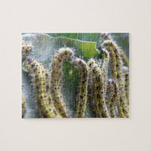 Hungry Cabbage White Caterpillars Puzzle