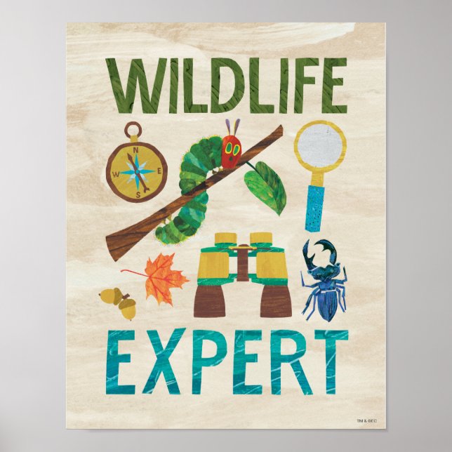 Hungry Caterpillar | Wildlife Expert Poster (Front)