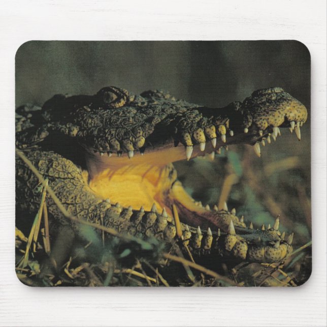 Hungry Croc Mouse Pad (Front)