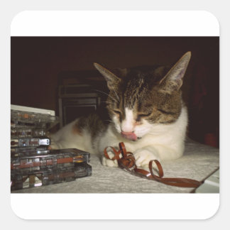 Hungry For Cassettes Square Sticker