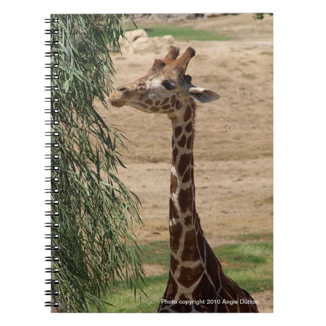 Hungry Giraffe Notebook (Front)