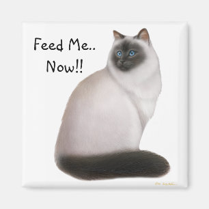 Hungry Himalayan Cat Magnet