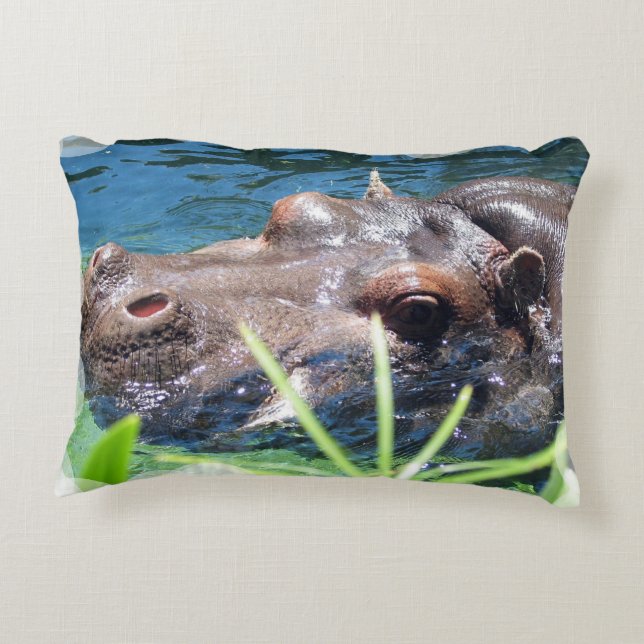 Hungry Hippo Decorative Cushion (Back)