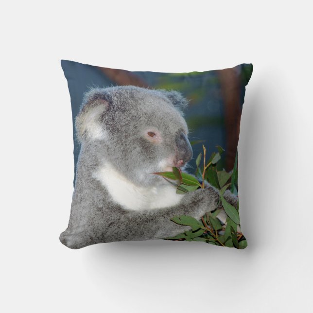 Hungry Koala Cushion (Front)